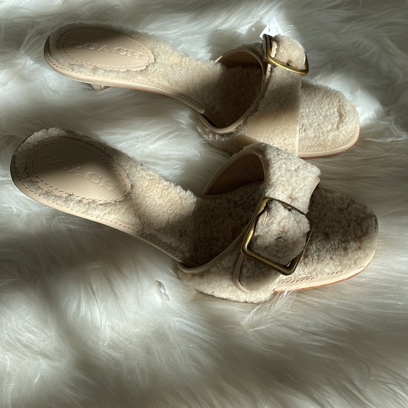Coach shearling buckle mule - NWT - Picture 5 of 10